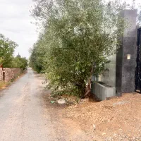 فروش تک قطعه ۲۱۰متر بر۱۰ اقساط۵ماهه جابان دماوند|فروش زمین و ملک کلنگی|دماوند, دماوند|دیوار