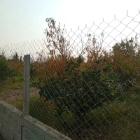 ۳۵۰متر باغ در ساری کنار تجهیزات مدارس طاهرده|فروش زمین و ملک کلنگی|ساری, |دیوار