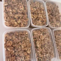 گردوی تازه تویسرکان