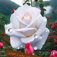 گیاه خارخاسک فروشی توافقی