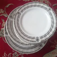 تعدادی بشقاب جهت کسری