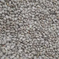 لوبیا چیتی درجه یک