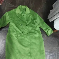 پالتو وارداتی