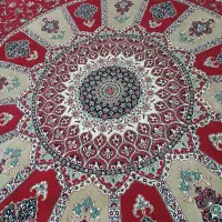 قالی 500شانه