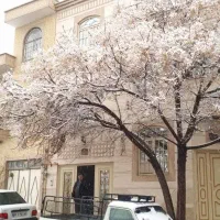 رهن منزل مسکونی