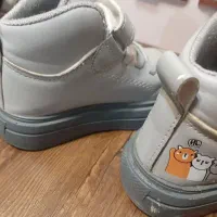 کفش|کیف، کفش، کمربند|گرگان, |دیوار