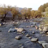 تور یک روزه