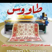 استخدام کارگر در قالیشویی