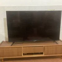 تلوزیون اسنوا