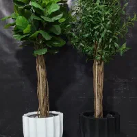 درختچه های مصنوعی لیراتا و زیتون وارداتی