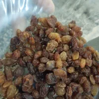 کشمش افتابی. پلویی .اب گیری