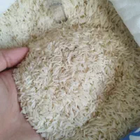 برنج صدری و هاشمی و عنبربو و نیم دانه (شکر دولتی)