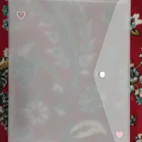 پوشه دکمه دار تلقی