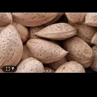 با سلام فروش  بادام  سپیدان  خوشمزه خوش‌طعم|خوردنی و آشامیدنی|شیراز, تندگویان|دیوار