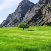 سرگرمی و فراغت