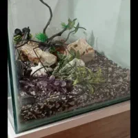 اکواریوم10میل|ماهی|رشت, دباغیان|دیوار