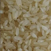 فروش عمده ویژه برنج کامفیروزی