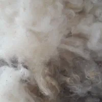 تشک دوزی