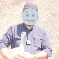 فروش جوجه شترمرغ با یکسال پشتیبانی رایگان