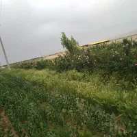 کارگربرای کار نگهبانی و کشاورزی