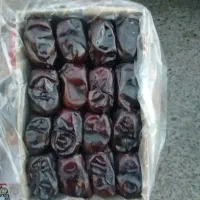 خرمای رطب بم