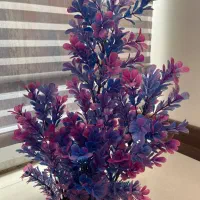 فروش اکسسوری های داخل آکواریوم|ماهی|تهران, افسریه شمالی|دیوار