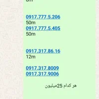 09171111111|سیمکارت|شیراز, بالا کفت|دیوار