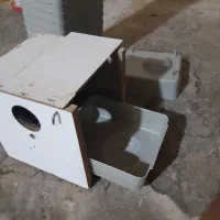 کاسه جا تخمی لانه طوطی عروس. برزیلی . قابل شستشو