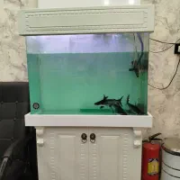 آکواریوم معاوضه با تلویزیون یا عروس مولد