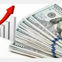 ضامن وام مهربانی