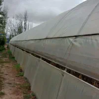 فروش سازه گلخانه|مصالح و تجهیزات ساختمان|یامچی, |دیوار