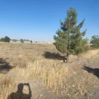400-متر-زمین-باغستان-ثامن-چاهشک