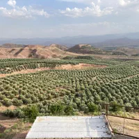 فروش ویلای ۱۰۰۰ متری با ۶۰ هکتار باغ زیتون