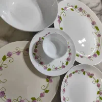 آرکوپال شیک