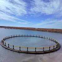 قفس پرورش ماهی|ماهی|چابهار, |دیوار