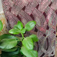 لباس محلی|لباس|یاسوج, |دیوار