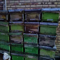 فروش کندو دسته دو خیلی تمیز