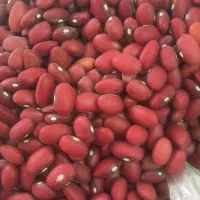 لوبیا قرمز زنجان بوجاری