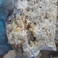 سنگ|کلکسیون اشیاء عتیقه|کرمانشاه, |دیوار