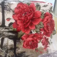 پتودونفره برجسته نو 4 عدد
