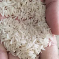 فروش عمده برنج