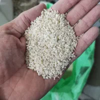 200کیلو نیم دانه هاشمی معطر