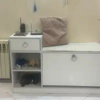جاکفشی مدرن|جاکفشی، کمد، دراور|تهران, قاسم‌آباد|دیوار