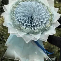 پول آرایی و باکس پول و دسته پول