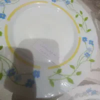 پیش دستی ارکوپال ویکتوریا فرانسوی جهت کسری|ظروف سرو و پذیرایی|تهران, جوادیه|دیوار