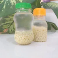 خاویار حلزون