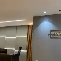 منشی خانم