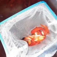 ماهی|ماهی|بجنورد, |دیوار