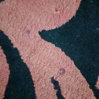 فرش۶ متری|فرش|پیشوا, |دیوار