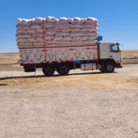 کاه گندم دیم کردستان